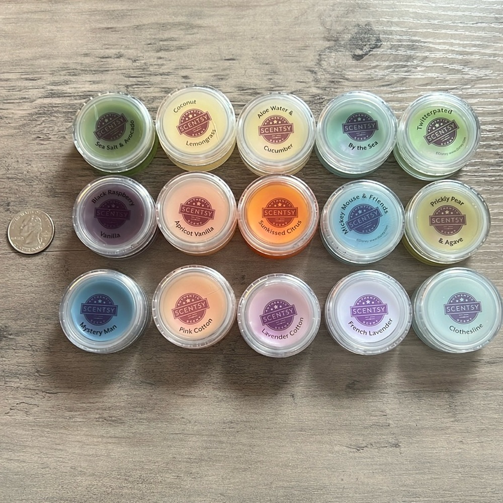 Scentsy mini sample testers + sample bags